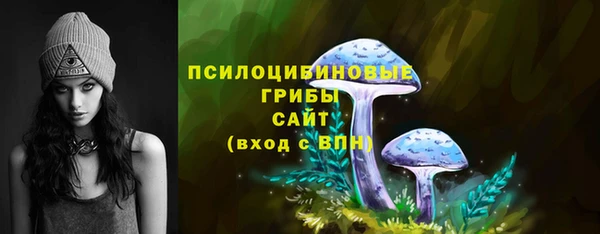 эйфоретик Арсеньев