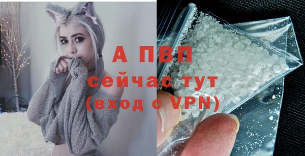 эйфоретик Арсеньев